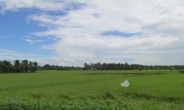 Chính phủ điều chỉnh quy hoạch sử dụng đất tại Thừa Thiên – Huế và Trà Vinh